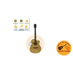 Đàn Guitar QUEEN’S AC – 301T ĐƯỢC GIA CÔNG ĐÓNG Ở VIỆT NAM